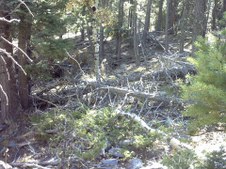 Enlarge photo 6