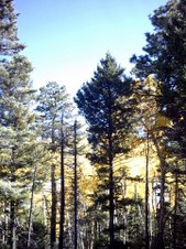 Enlarge photo 1