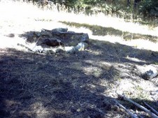 Enlarge photo 19