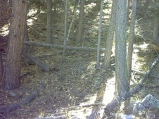 Enlarge photo 21