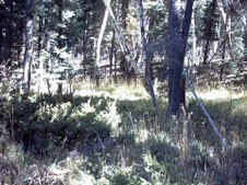 Enlarge photo 22