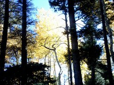 Enlarge photo 25