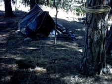 Enlarge photo 16