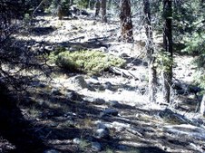 Enlarge photo 32