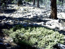 Enlarge photo 33