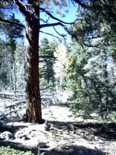 Enlarge photo 34