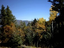 Enlarge photo 35