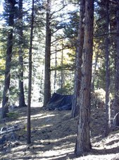 Enlarge photo 18