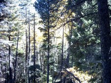 Enlarge photo 36