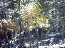 Enlarge photo 37