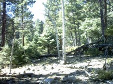 Enlarge photo 38