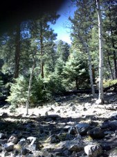 Enlarge photo 39