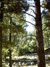 Enlarge photo 40
