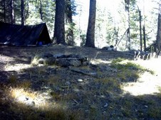 Enlarge photo 43