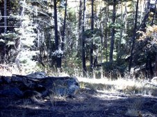 Enlarge photo 47