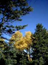 Enlarge photo 48