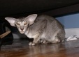 Enlarge photo 50
