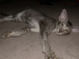 Enlarge photo 49