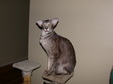 Enlarge photo 68
