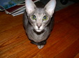 Enlarge photo 21