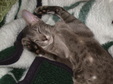 Enlarge photo 8