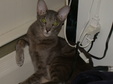 Enlarge photo 12