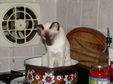 Enlarge photo 17