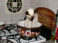 Enlarge photo 18