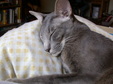 Enlarge photo 29