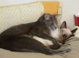 Enlarge photo 31
