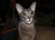 Enlarge photo 33