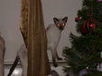 Enlarge photo 36