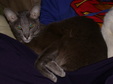 Enlarge photo 22