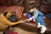 Enlarge photo 28
