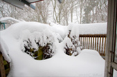 Enlarge photo 29