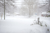 Enlarge photo 37
