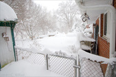 Enlarge photo 40