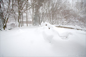 Enlarge photo 42