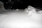 Enlarge photo 44