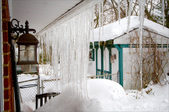 Enlarge photo 51