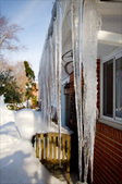 Enlarge photo 53