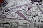 Enlarge photo 118