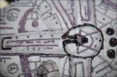 Enlarge photo 120