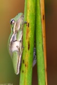 Enlarge photo 17