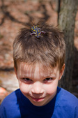 Enlarge photo 40