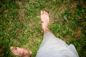 Enlarge photo 25