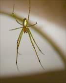 Enlarge photo 157