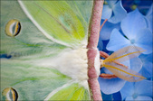 Enlarge photo 186