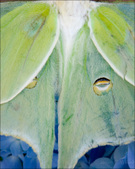Enlarge photo 198