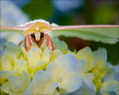 Enlarge photo 200